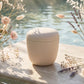 Biodegradable Natural Eco Cremation Urn