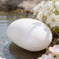 Biodegradable Bagasse Fiber Eco Cremation Urn