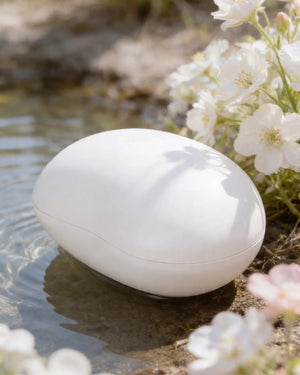 Biodegradable Bagasse Fiber Eco Cremation Urn
