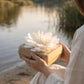 Biodegradable Recycled Paper Water Scattering Urn