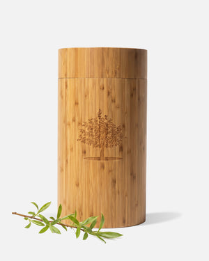 Weeping Willow Tree Planting Cremation Urn