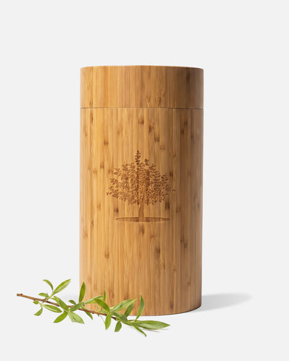 Weeping Willow Tree Planting Cremation Urn