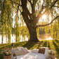 Weeping Willow Tree Planting Cremation Urn