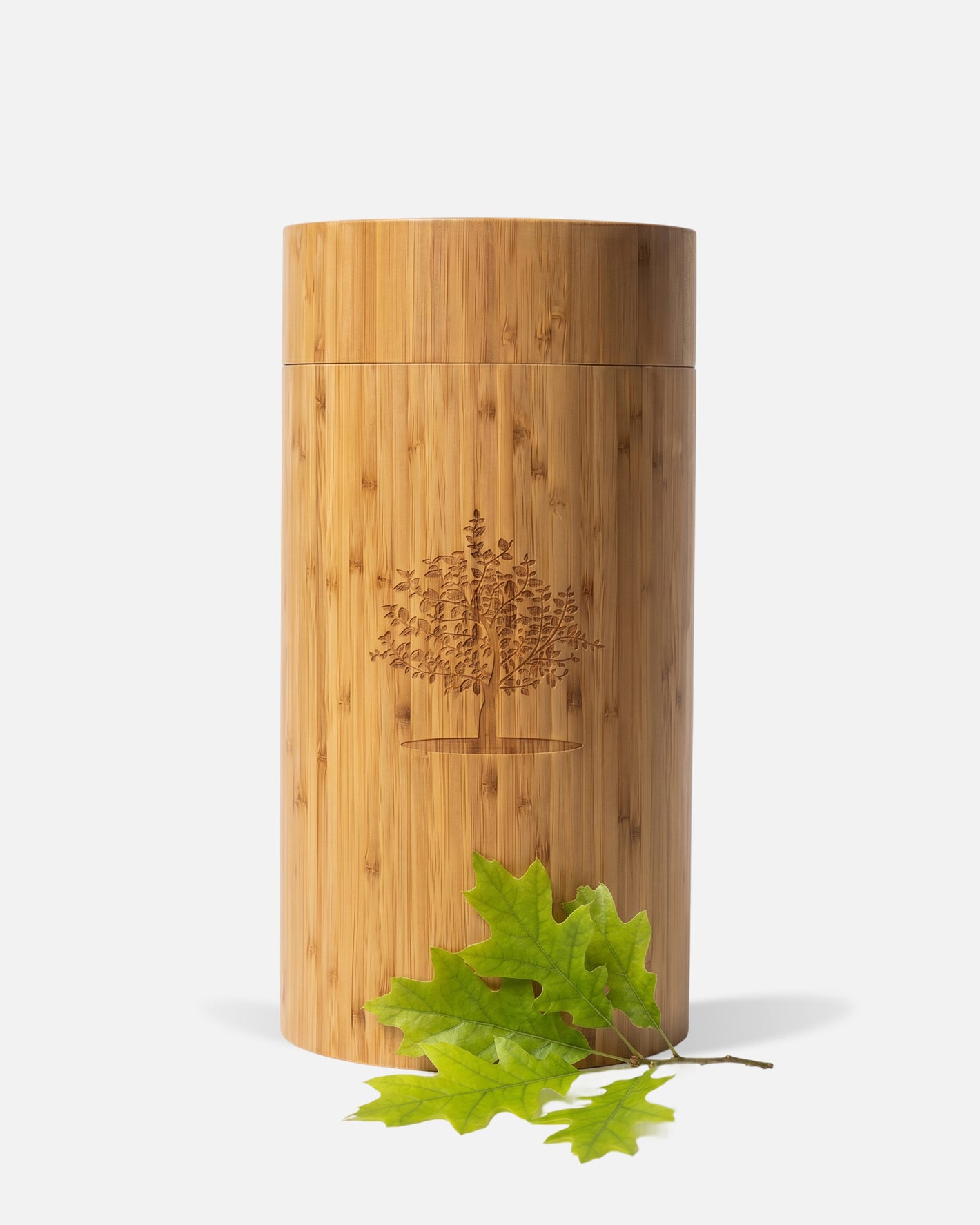 White Oak Tree Planting Cremation Urn