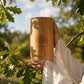 White Oak Tree Planting Cremation Urn