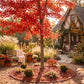 Red Maple Tree Planting Cremation Urn
