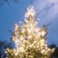 Christmas Tree Planting Cremation Urn